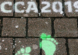 ICCA2019 Beitragsbild im Slider