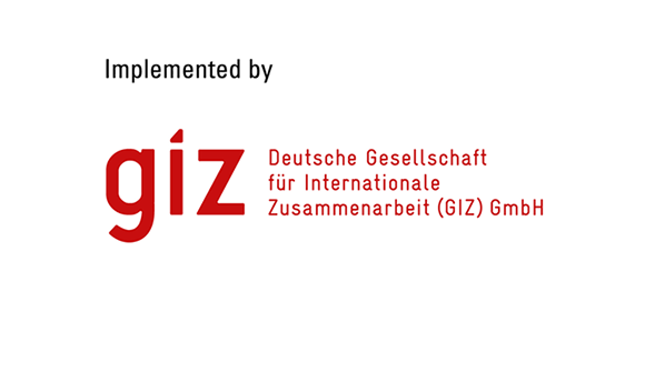 giz Logo implemented by